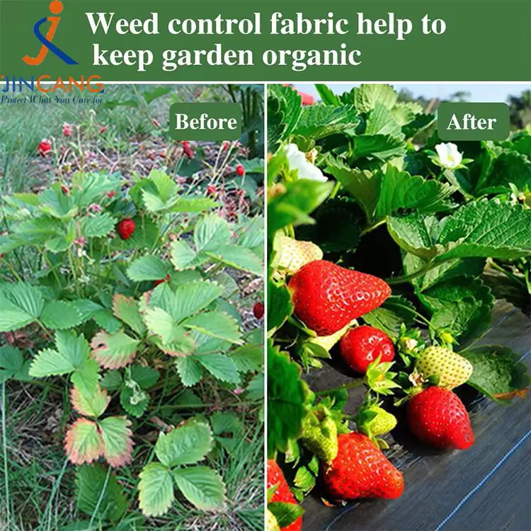 Арамшөптерді бақылау матасы