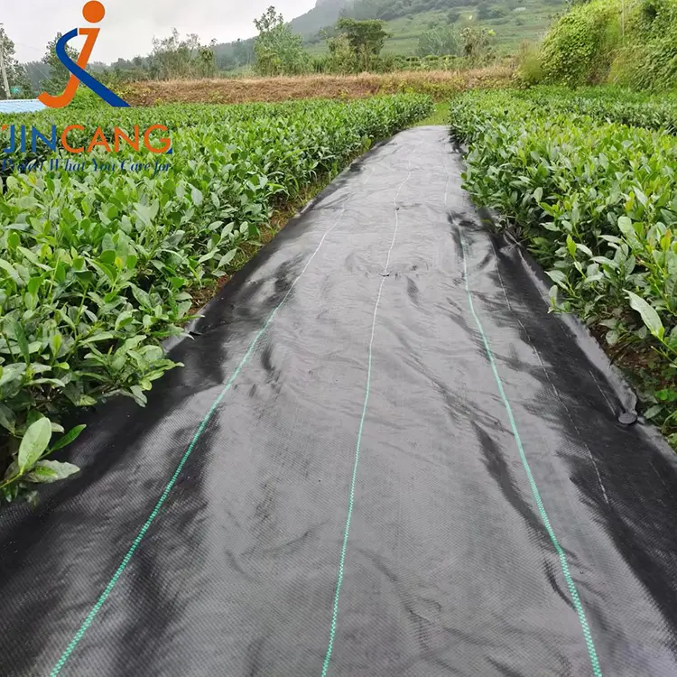 Арамшөптерді бақылау матасы