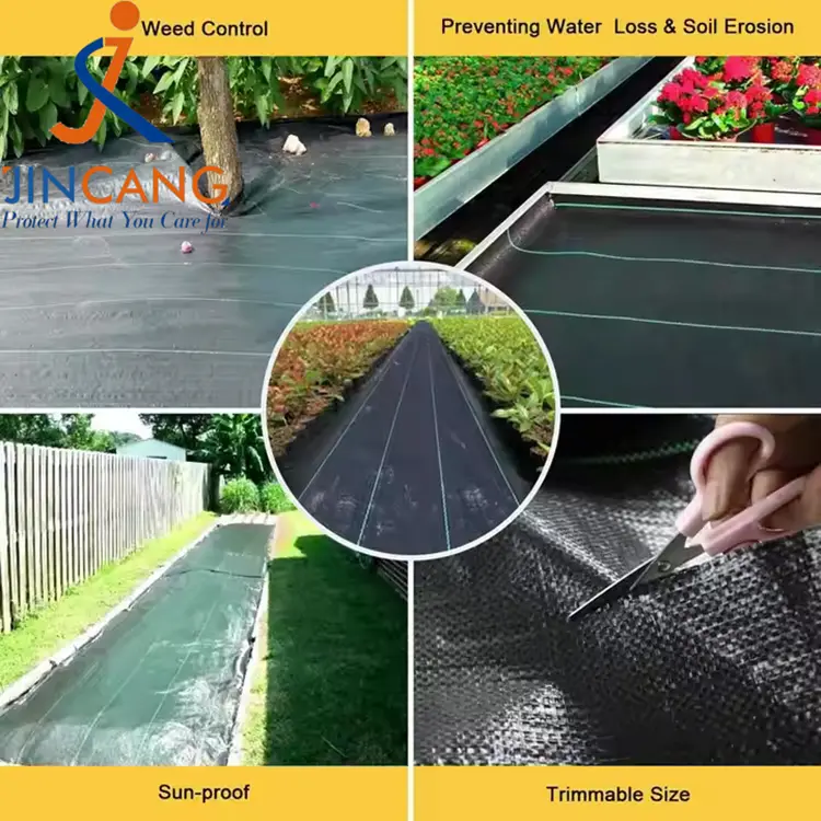 Арамшөптерді бақылау матасы