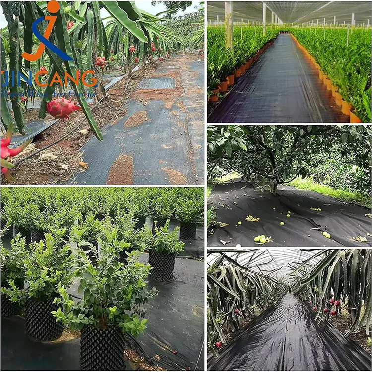 Арамшөптерді бақылау матасы