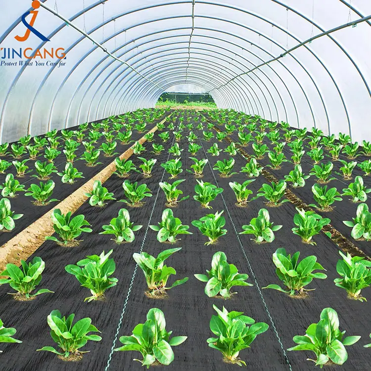 Арамшөптерді бақылау матасы