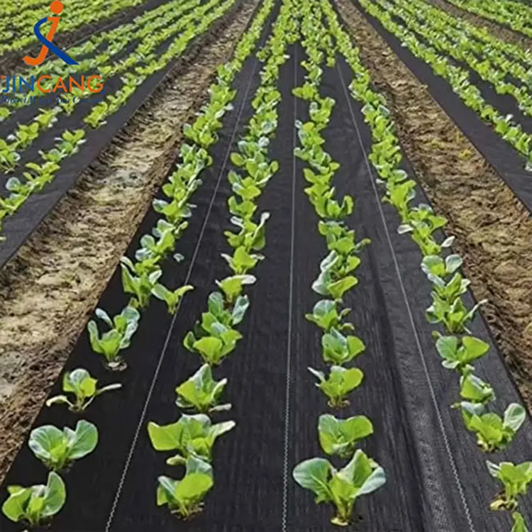 Арамшөпке қарсы матаға арналған матамен қапталған бақша арамшөптері